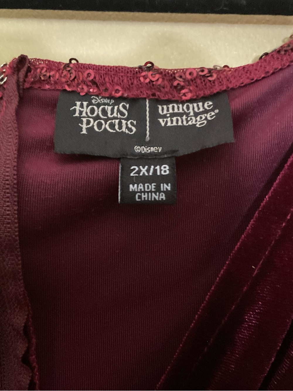 Disney Hocus Pocus Plus Size Burgundy Velvet Costume - Picture 3 of 7
